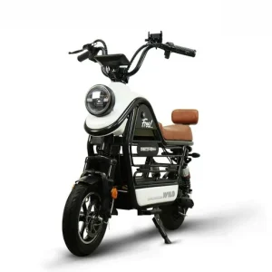 Read more about the article 최고의 전동 스쿠터와 바이크, 이제 선택하실 시간!